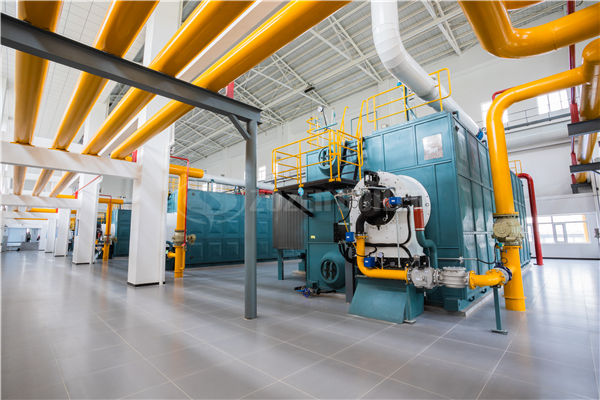 25t/h生物質鍋爐