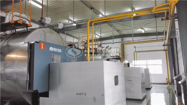 2024年重慶導熱油鍋爐