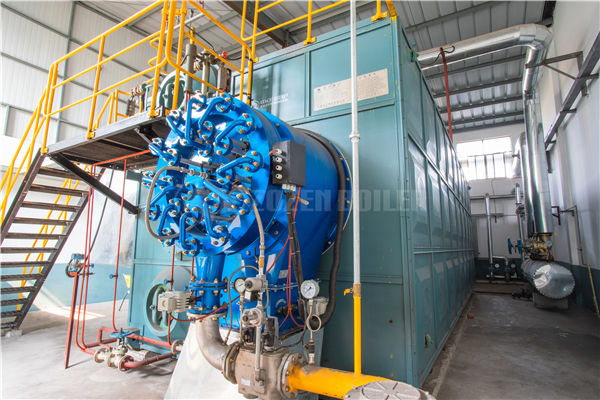 2噸生物質午夜电影网