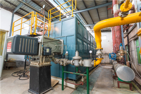 大型燃氣集中供熱鍋爐投資