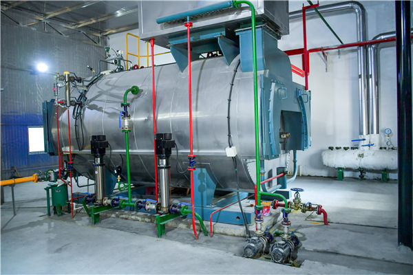 雙良鍋爐是國內企業嗎